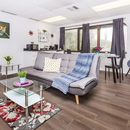 Modern 1Br Condo - Chinatown Near Little Italy 오타와 외부 사진